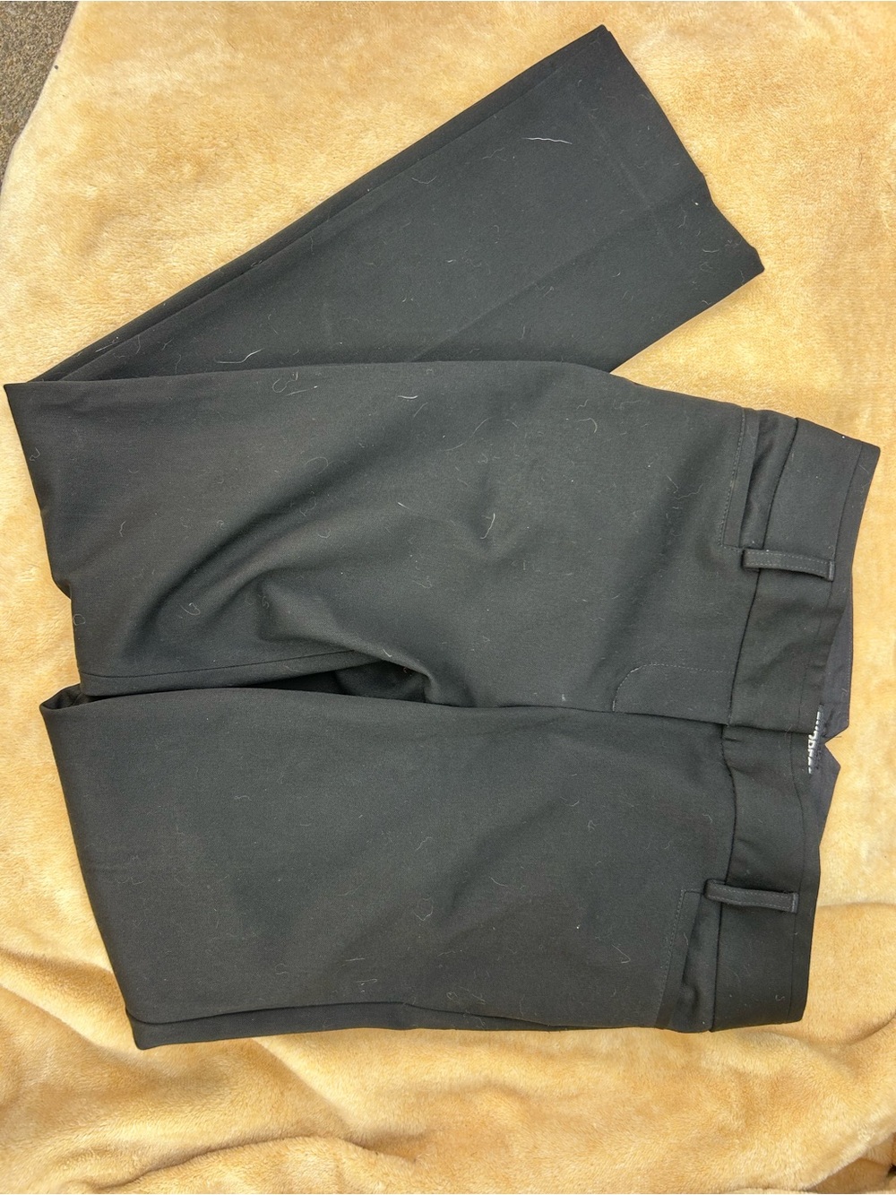 Express Black Columnist Women's suit Trousers